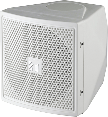 Loa vệ tinh TOA BS-S20W