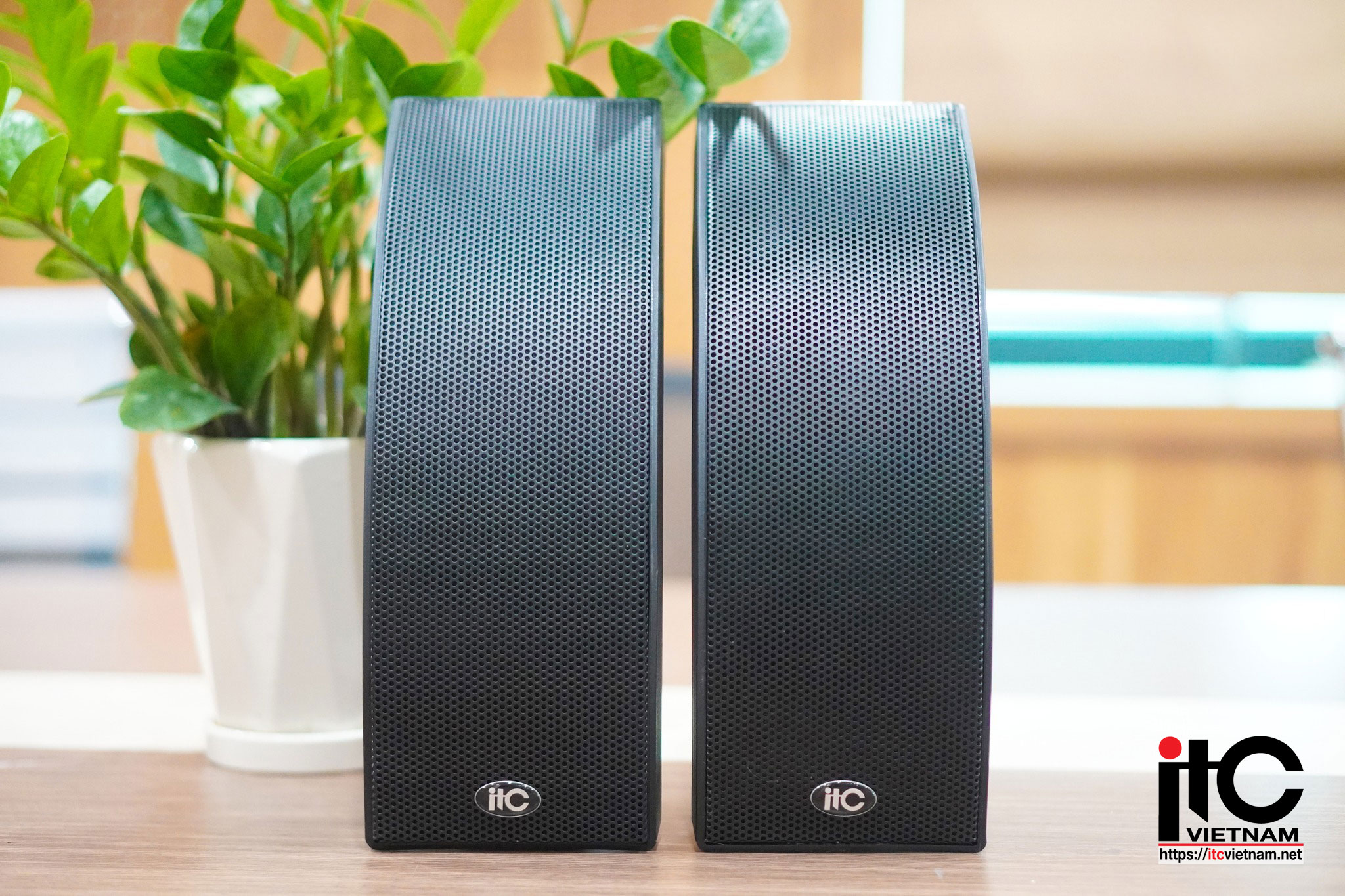 Loa hộp treo tường ITC công suất 40W: T-733B